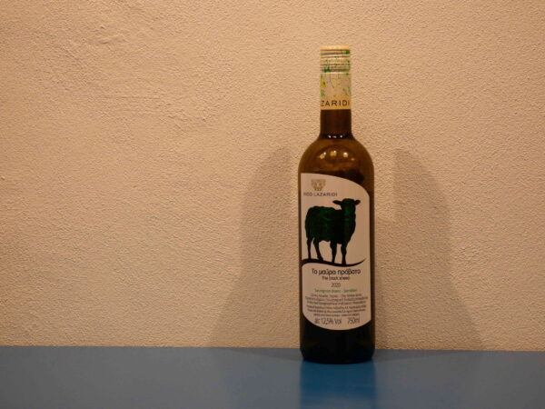 Nico Lazaridi Black sheep - Hvid